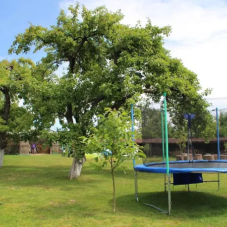 W Jabloniowym Sadzie Jeżyce