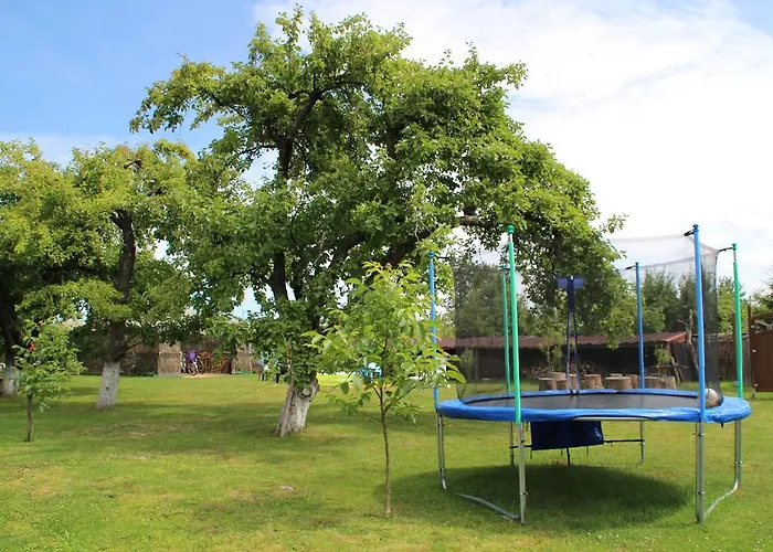 W Jabloniowym Sadzie Jezyce