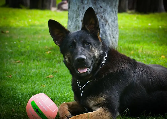 Agroturismo W Jabloniowym Sadzie Jezyce